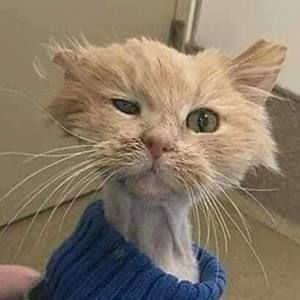 Meet your Posher, Jim